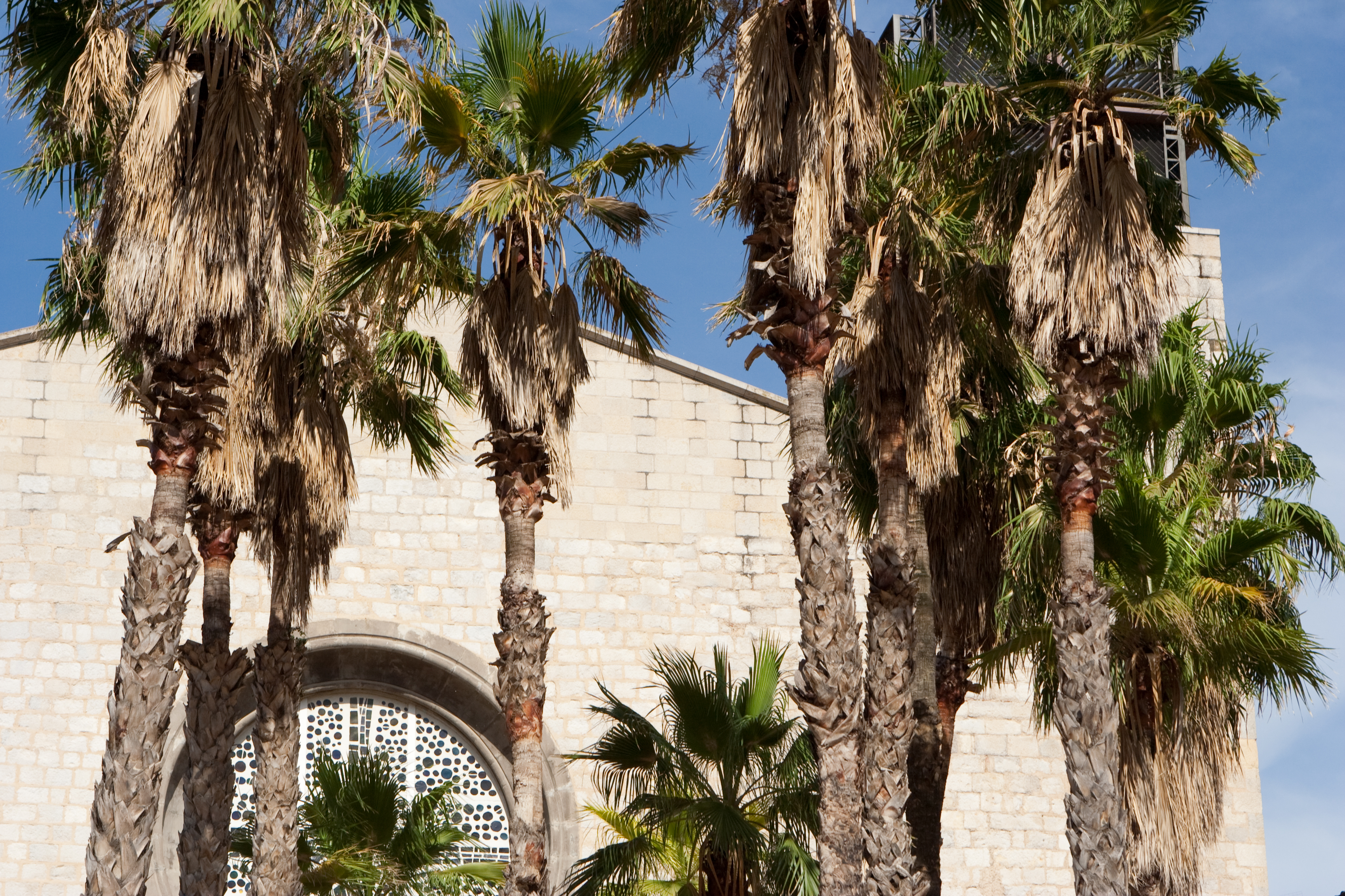 vakantie 2009 spanje-142.jpg